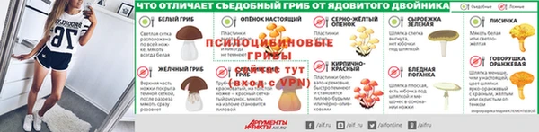 МДМА Заполярный