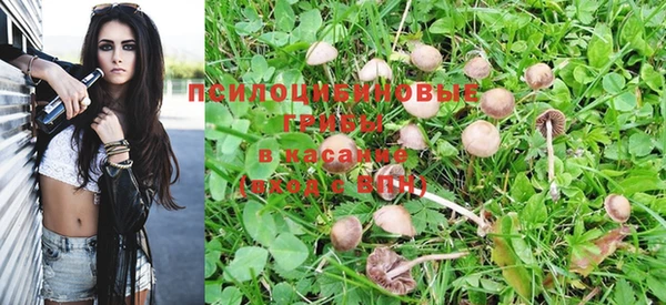 каннабис Краснотурьинск
