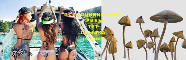 мет Краснослободск