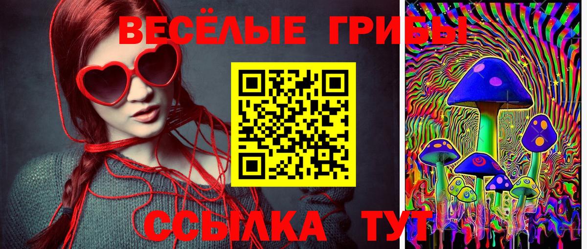 Галлюциногенные грибы Psilocybe Мценск