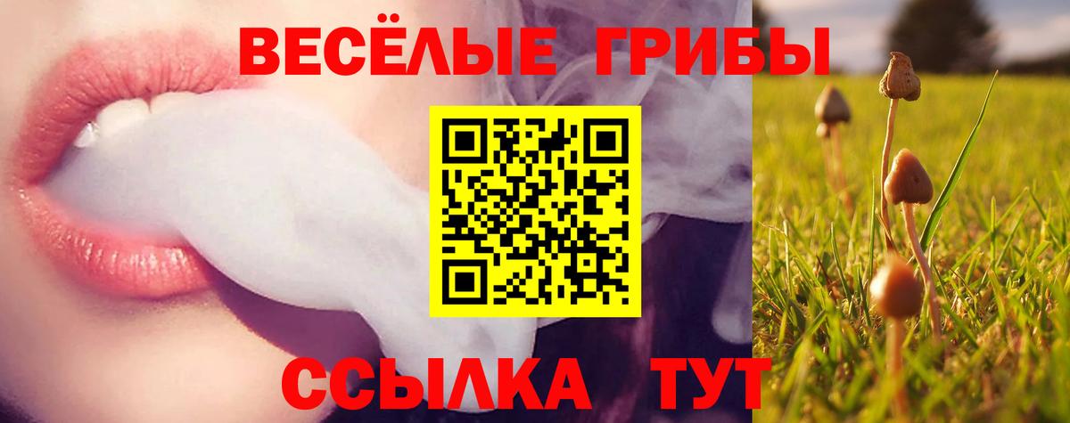 Псилоцибиновые грибы прущие грибы  Псилоцибиновые грибы Magic Shrooms  Мценск 